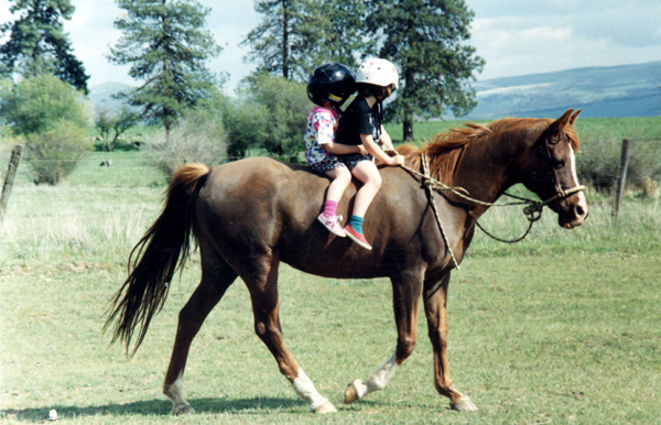 Horses And Kids Backyard Horsekeeping